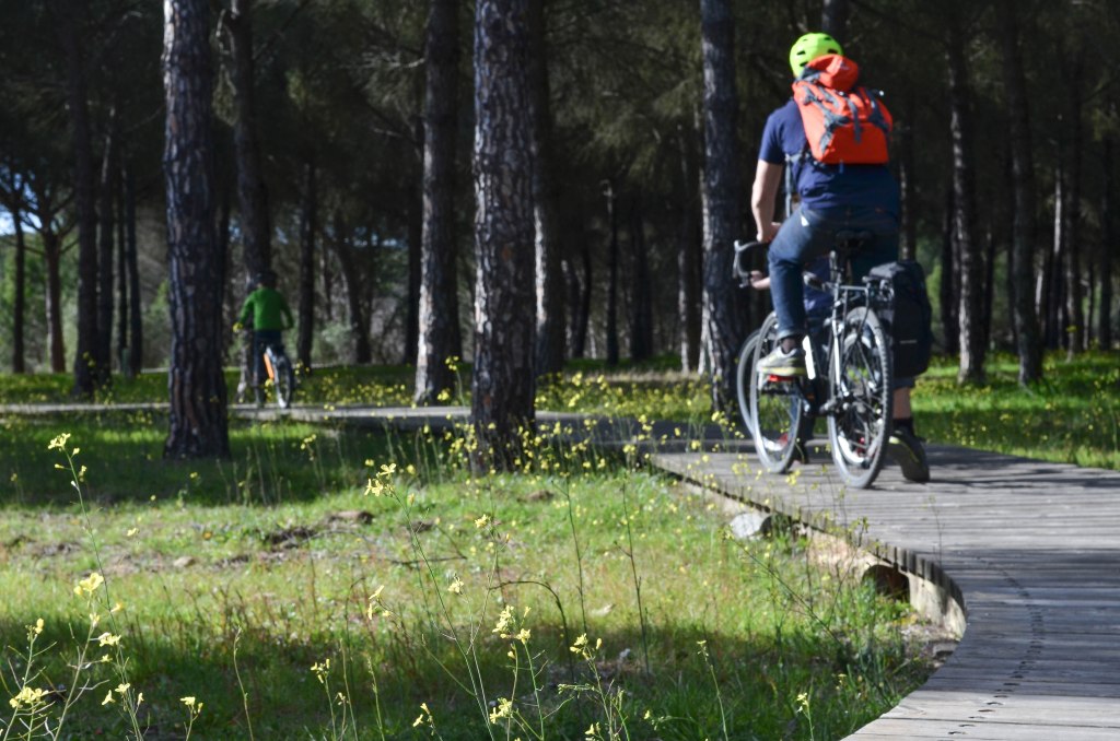 Donanas National Park