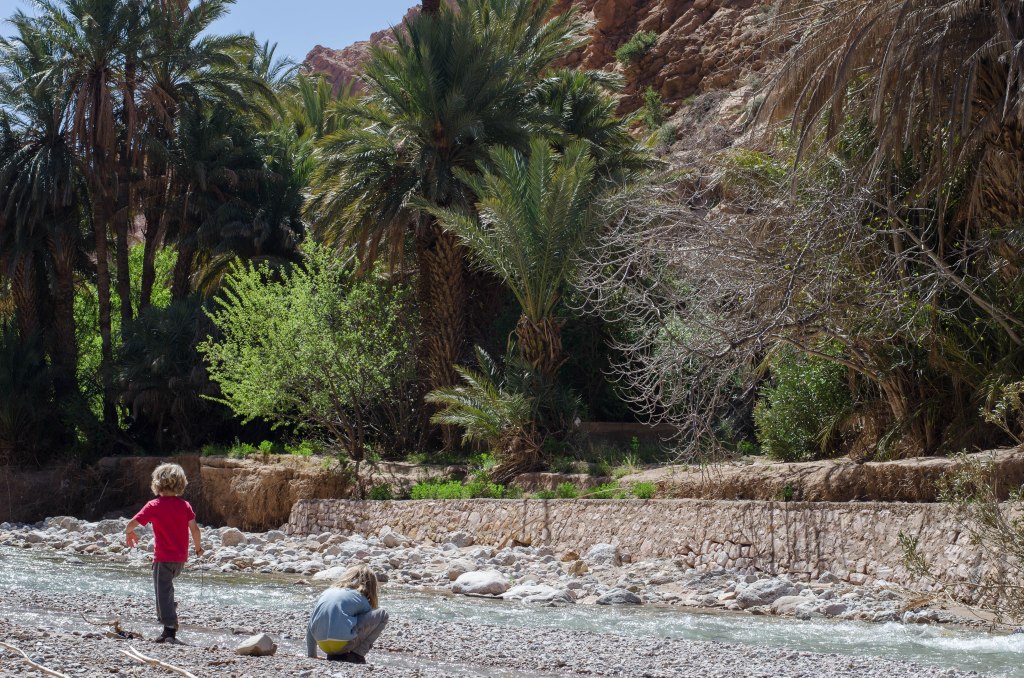 The walk through the palmeries to Todra Gorge itself, was arguably the highlight of our visit. The gorge is impressive but it's cool and fagrant and lush beneath the palms, beside the river