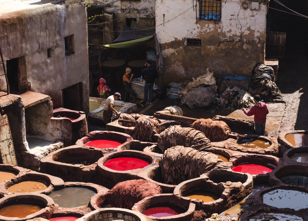 Fez tanneries