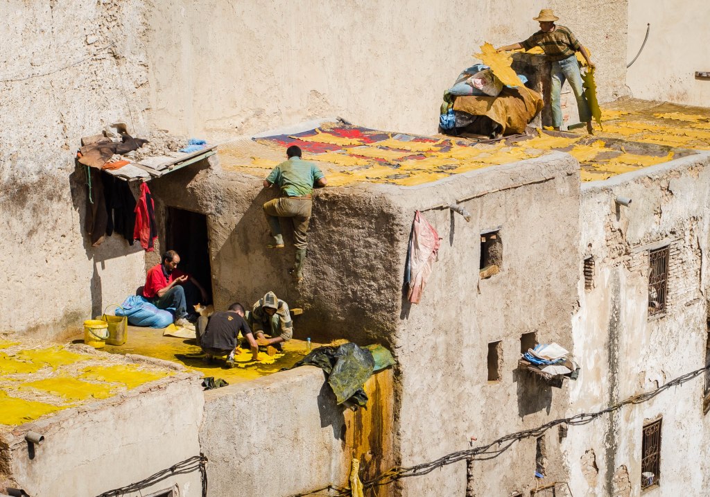 Fez Tanneries